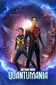 Ant-Man and the Wasp Quantumania