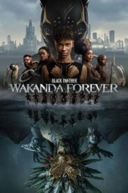 Black Panther: Wakanda Forever