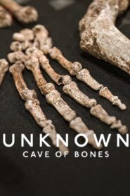 Unknown: Cave of Bones