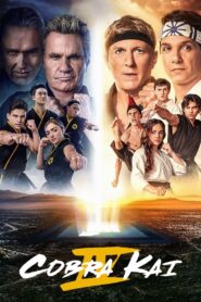 Cobra Kai: Season 4